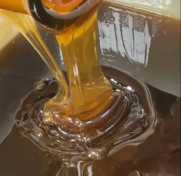 Дягиль мёд (урожай 2025г.)